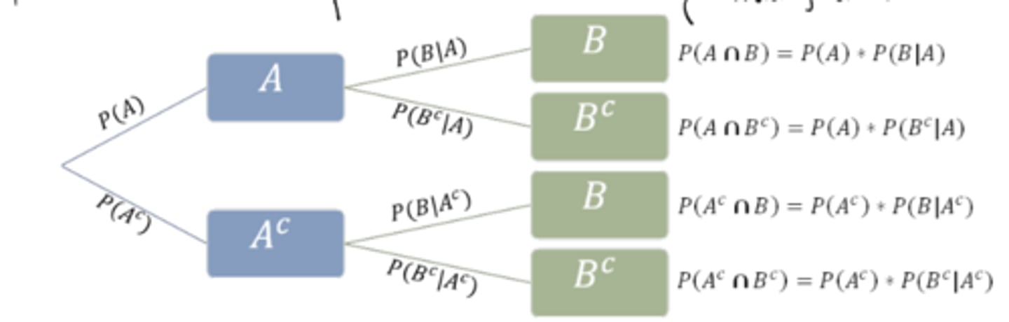 <p>The sample space of a process involving multiple stages, where branches after the first stage represent conditional probabilities.</p>