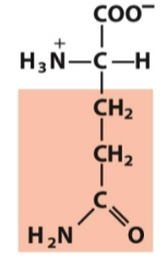 <p>Polar, neutral</p>