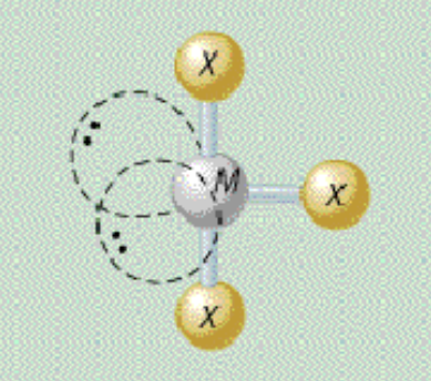 <p>AX₃E₂ shape</p>