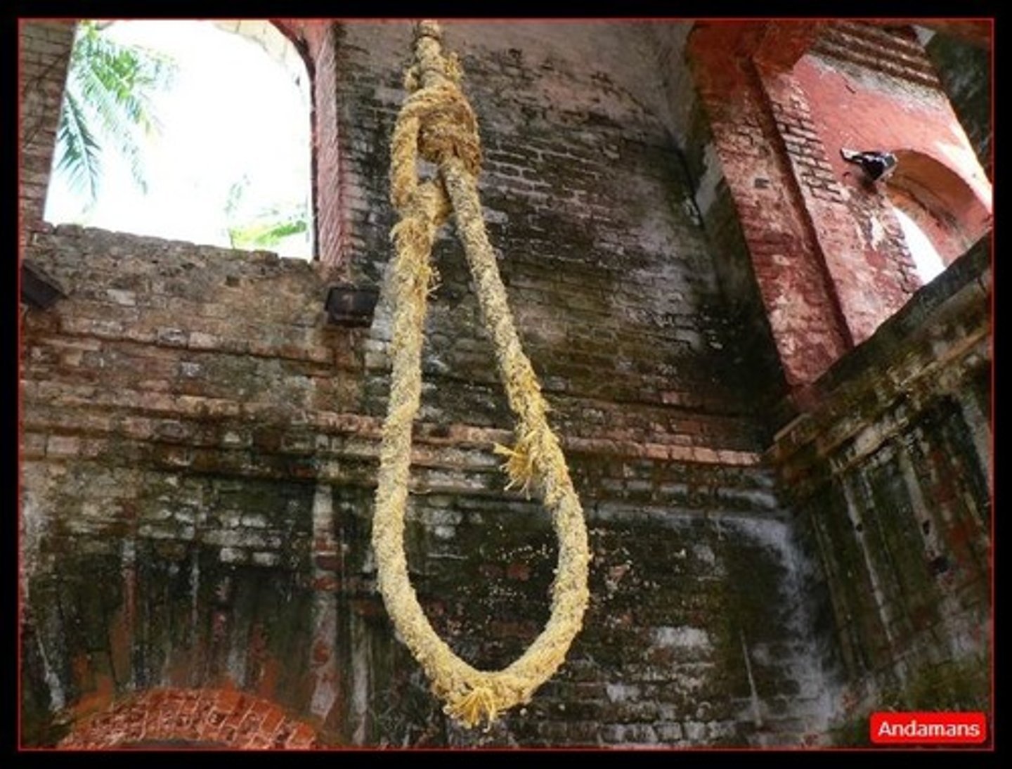 <p>To carry out a sentence of death on a legally condemned person.</p><p>стратити</p><p>Guy Fawkes was ___________d for his role in the Gunpowder Plot.</p><p>The prisoner was scheduled to be ___________d at dawn.</p><p>In some countries, it is still legal to ___________ criminals for serious offenses.</p>