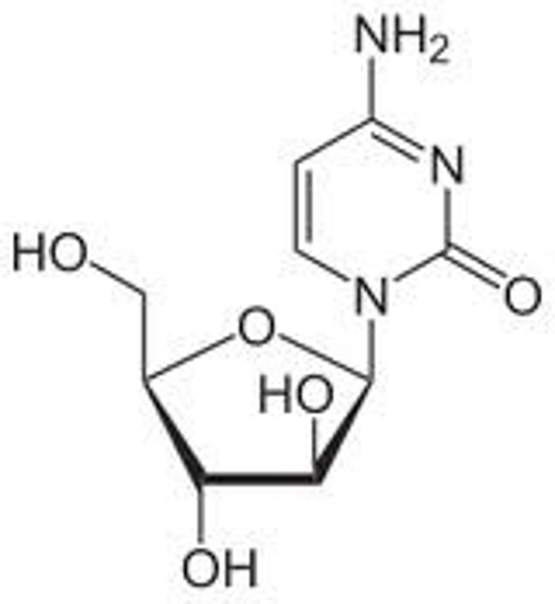 <p>(dna polymerase + chain elongation inhibitor)</p><p>ROA: IV, in combo</p><p>MOA: prodrug that needs to have triphosphate attached for activation, which is then incorporated into growing DNA + preventing chain elongation</p><p>- also inhibits DNA/RNA polymerases + nucleotide reductase</p><p>- active in S phase</p><p>indication: acute nonlymphatic leukemia</p><p>- intrathecal admin: meningeal leukemia</p><p>SAR: differs from cytidine bc there is an arabinose instead of ribose</p>