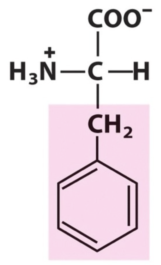 <p>Name the amino acid.</p>