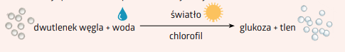 <p>Proces wytwarzania pokarmu i tlenu przez organizmy samożywne, wykorzystujący dwutlenek węgla wodę, światło oraz chlorofil.</p>
