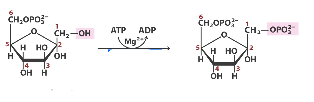 <p>what step in glycolysis, what react/prod</p>