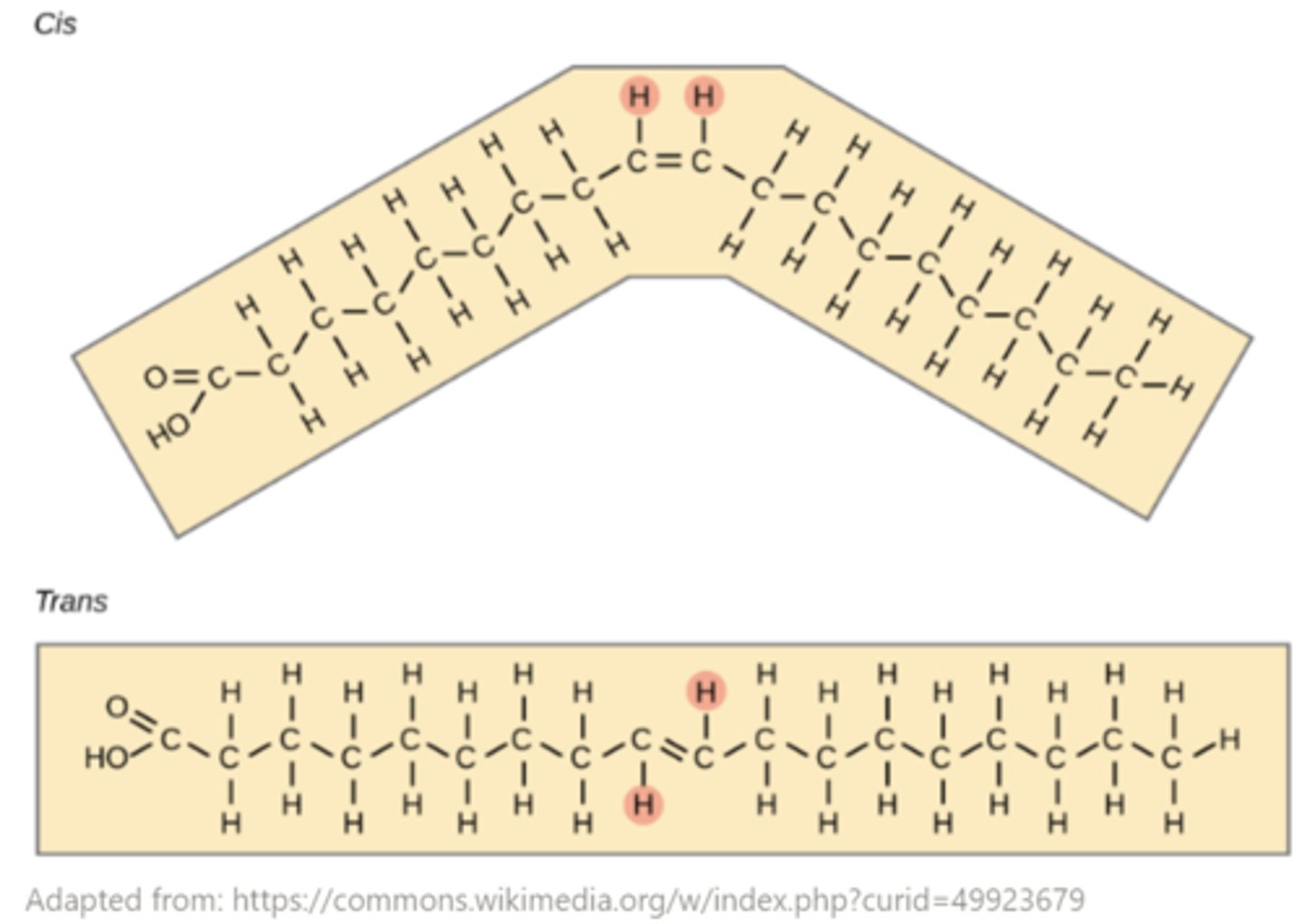 <p>double bonds</p>