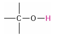 <p>Alcohol</p>