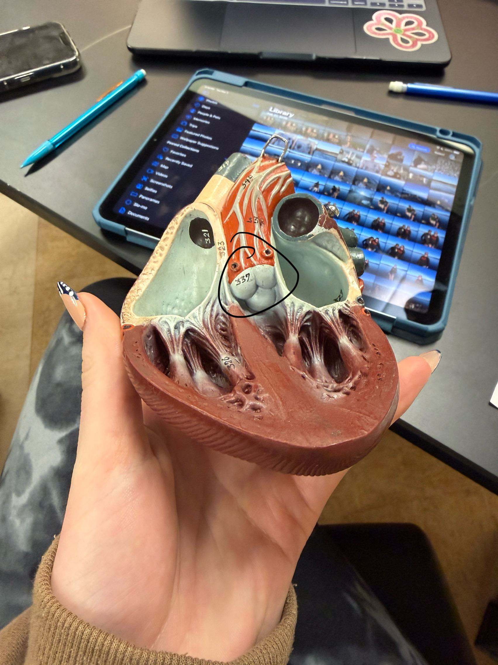 <p>name this structure</p>