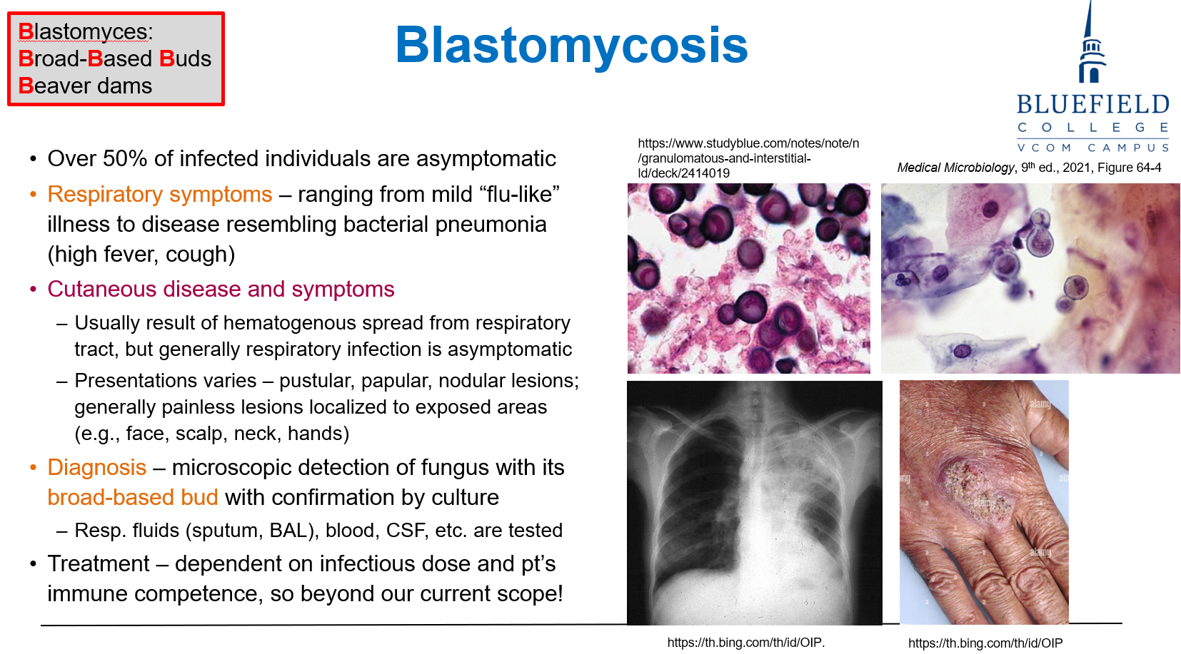 <p>C. Hematogenous spread from lungs<br></p><p><strong>Cutaneous blastomycosis</strong> occurs via <strong>bloodstream dissemination</strong> from <strong>lung</strong>.</p>
