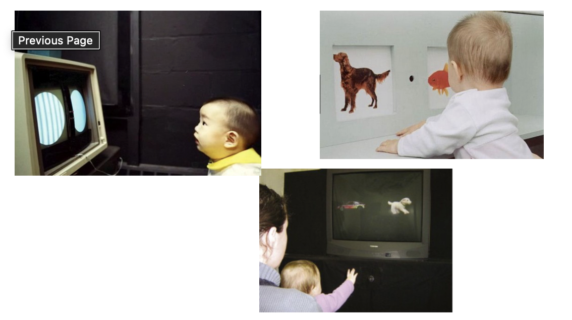 <ol><li><p>test whether infants have a preference for specific stimuli</p><ol><li><p>through looking time (looking time for one stimulus is higher than 50% of the combined looking time at both stimuli)</p></li></ol></li><li><p>test whether infants can discriminate between stimuli</p><ul><li><p>spontaneous PREFERENCE for a specific stimuli = babies know to <mark data-color="yellow">discriminate</mark> one stimuli from another</p></li></ul></li></ol>