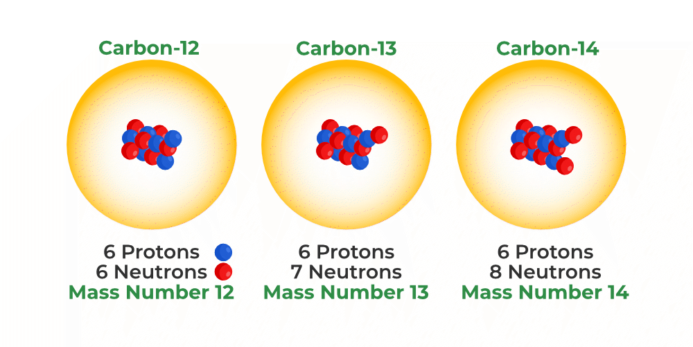 <p>versions of a particular element that have different numbers of neutrons </p>