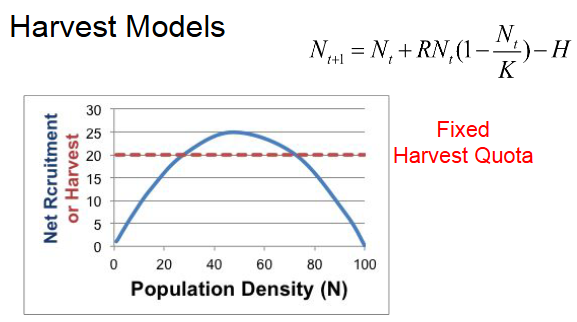 <p>a set number of animals is removed annually, regardless of population changes, aiming for sustainable yield but carrying high risk of overharvesting and collapse if the population declines</p><ul><li><p>recruitment > harvest= pop. increase</p></li><li><p>recruitment < harvest= pop. decrease</p></li><li><p>recruitment = harvest= stable</p></li></ul><p></p>