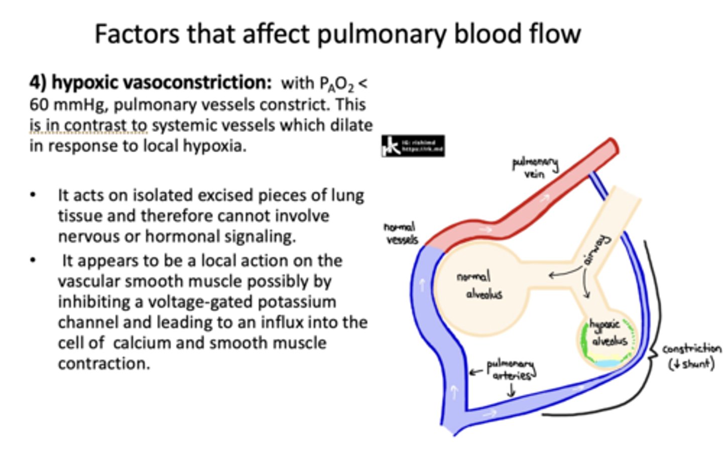 <p>60 mmHG</p>