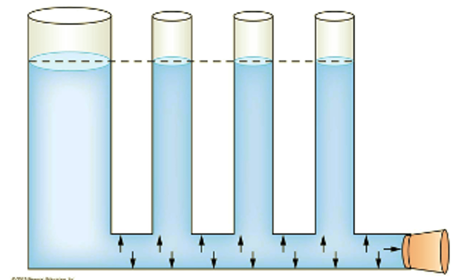 <p>Hydrostatic</p>