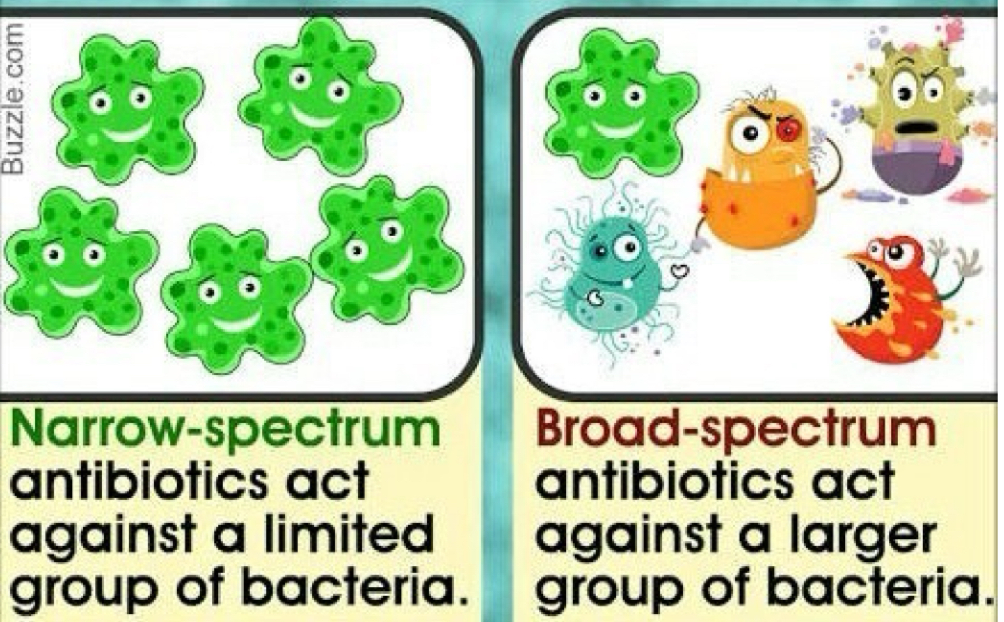 <p>Many organisms.</p>