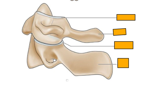 <p>Label from top to bottom </p>