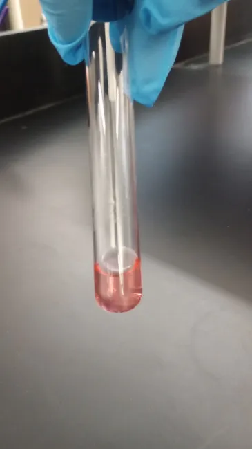 <ul><li><p><strong>Color:</strong></p><ul><li><p>Pink</p></li><li><p>Anything Else</p></li></ul></li></ul><p></p>