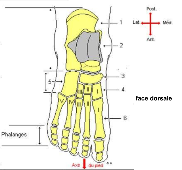 <p>1</p>