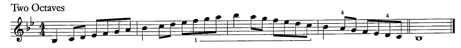 <p>2 flats - B, E</p><p></p><p>Arpeggio notes:</p><p>B, D, F, B, D, F, B, F, D, B, F, D, B</p>