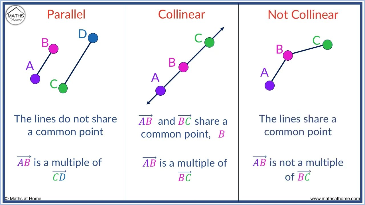 <p>Points are collinear if and only if<strong> they are on the same line</strong> (one line COULD pass through them)</p><p></p><p>We need two points to determine a line becuase only one line can pass between two points , a line is the shortest path between two points, with only one point = INFINITE lines could pass through.</p>