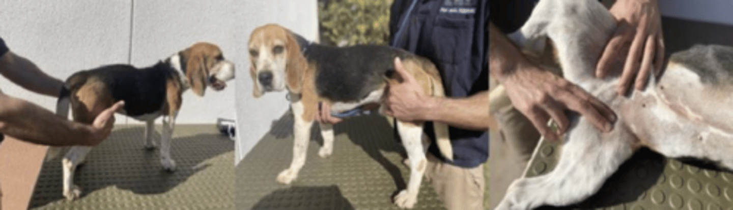 <p>what is happening here ?</p>