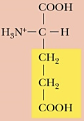 <p>Name (Abbr.) - polarity, a/n/b</p>