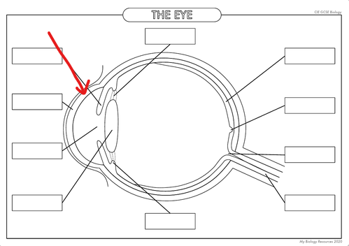 <p>What is the part in the diagram called?</p>