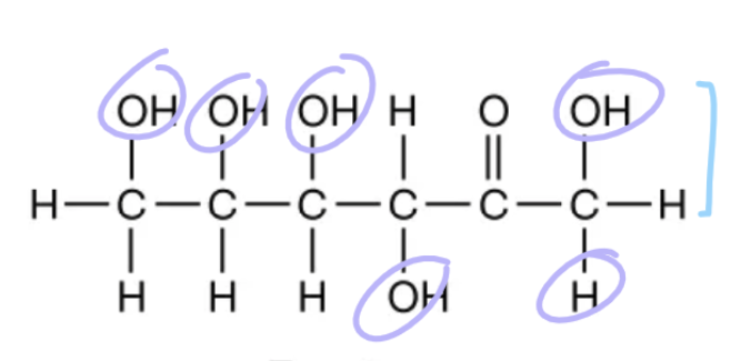 <ul><li><p>“Fruit” sugar</p></li></ul>