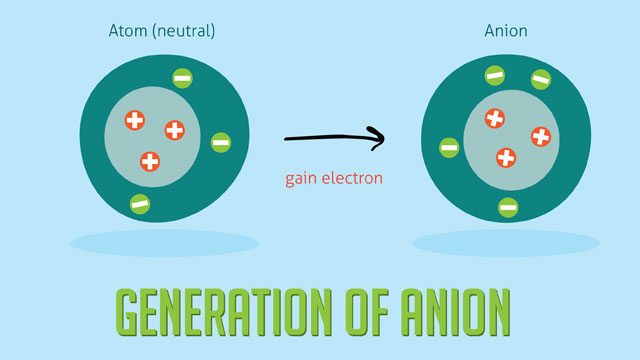 <p>Anion</p><p>Formed by the acceptance of one or more shell of a neutral atom.</p><p>Carries a negative charge. </p>