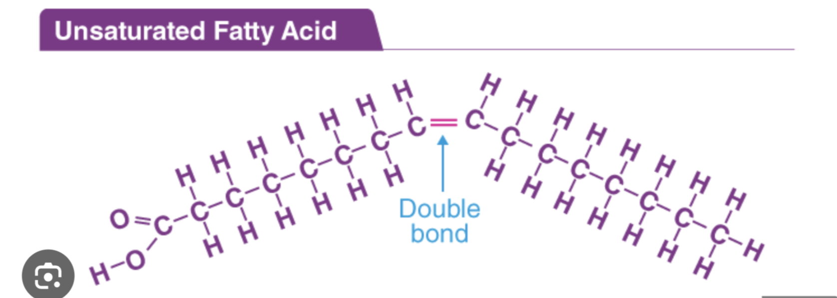 <p>One or more C=C bonds; can accept more hydrogens; double bonds put kinks in the molecule’s shape</p>