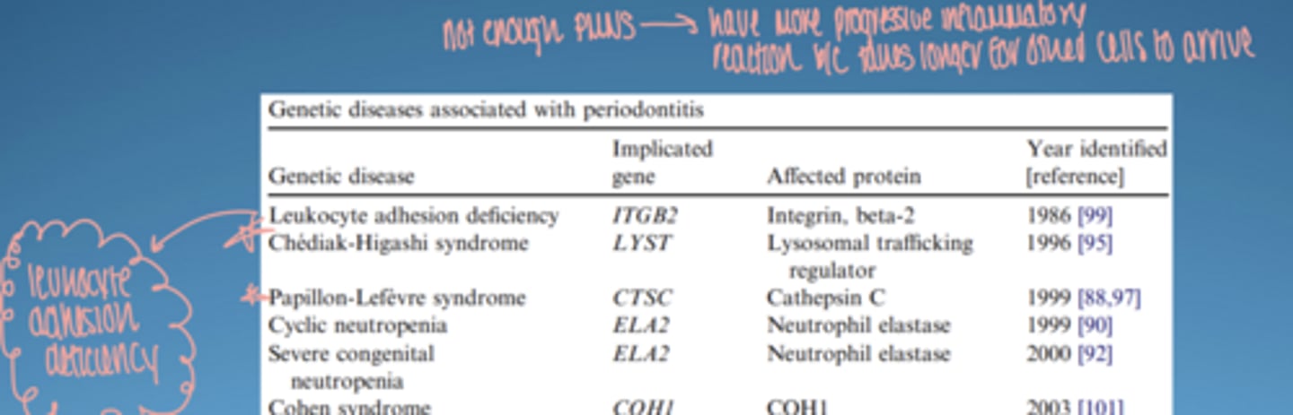 <p>leukocyte adhesion deficiency:</p><p>-↓ neutrophil migration → severe disease</p><p>papillon-lefevre syndrome:</p><p>- causes severe, aggressive periodontitis resulting in early, rapid tooth loss</p><p>*not enough PMNS... have more progressive inflammatory reaction b/c takes longer for other cells to arrive*</p>