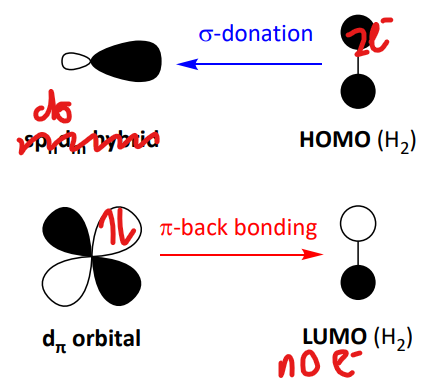 <ul><li><p>formed by both HOMO and LUMO of the H2 with the frontier MOs of TM</p></li><li><p>results in population of the sigma* orbital of the HH and H-H bond elongation</p></li></ul><p></p>