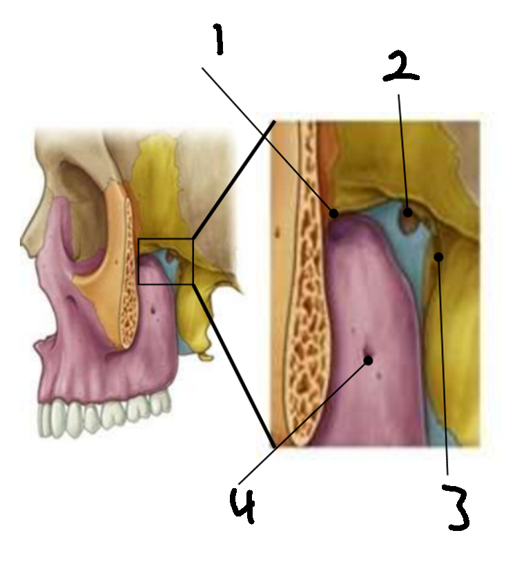 <p>What is 3?</p>