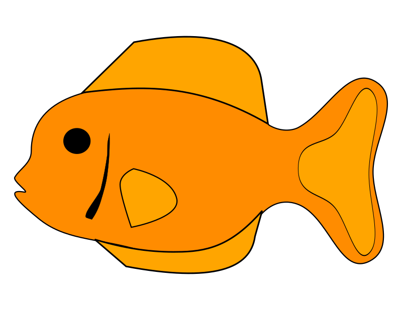 <p>fish</p>