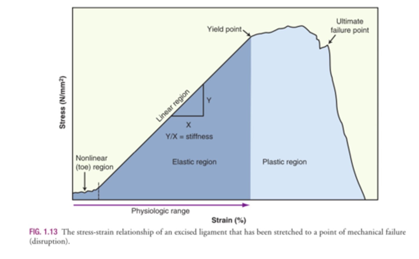 <p>1. At what point is a tissue elongated past its physiological range?</p><p>2. At which region is the tissue permanently deformed?</p>