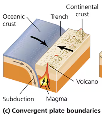 <p>Oceanic (basalt) crust is denser than continental (granite) crust and subducts below<br>- Creates deep ocean trenches and cracks in the continental plate → magma seeps up and creates volcanoes<br>*Plates can get stuck and suddenly release energy → earthquakes and tsunamis<br>Ex: trenches and volcanic arcs</p>