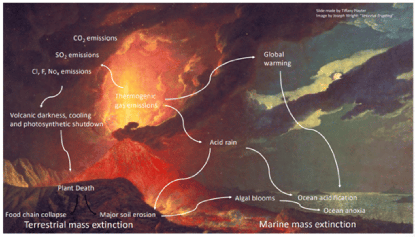 <p>-new predators</p><p>-new diseases</p><p>-catastrophic events</p><p>-increased competition for resources or mates</p>