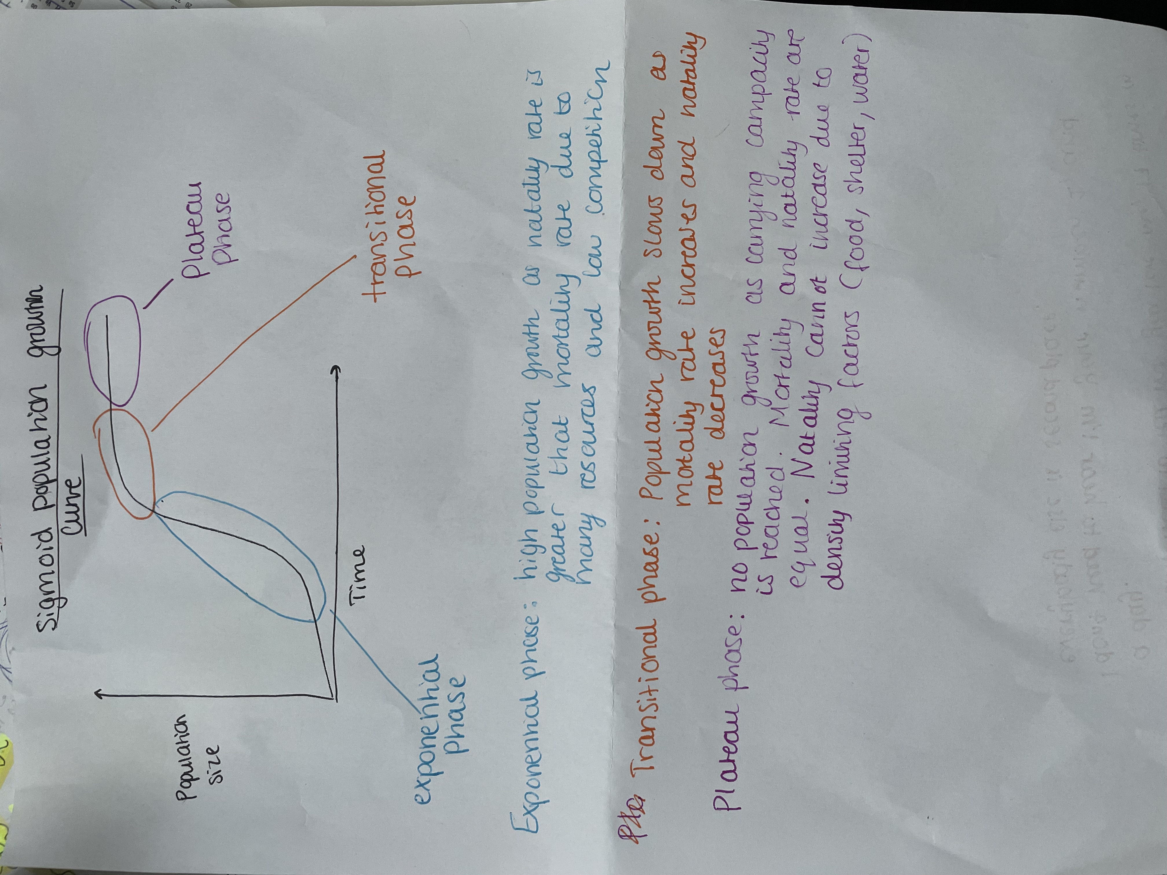 knowt flashcard image