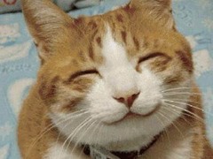 happy; content