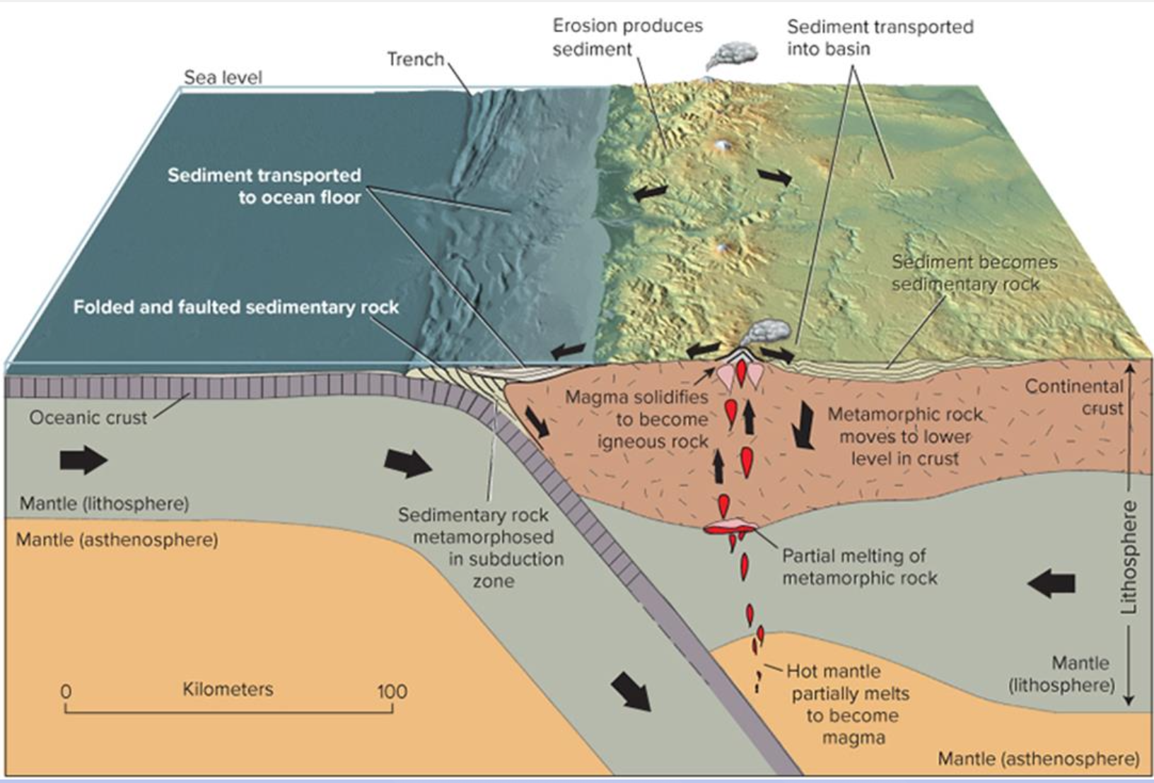 <p>refers to the size, shape, and arrangement of crystals in an igneous rock, which can vary based on the rate of cooling and the environment of formation. </p>