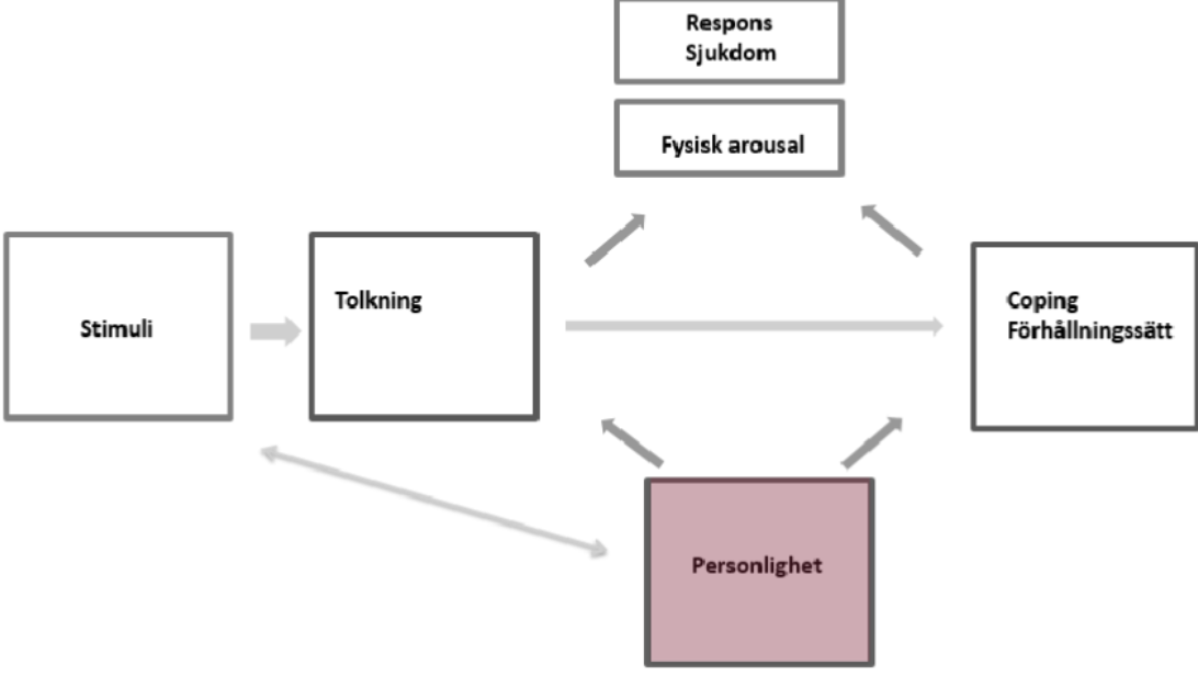 <p>Hur vi tolkar ett stumuli </p><p>En perosn som har tendenser att oroa sig mycket, närmare att irritera sig mycket hamnar i mer negativa situationer och för då en mer negativ tolkning och får där med ett negativt coping förhållningssätt. </p><p>Fokus på hur individen tolkar och reagerar på stimuli </p><p>Personlighet påverkar tolkning→ tolkning påverkar coping→ coping påverkar hälsa</p><p>Exempel: En person med oro- tenden tolkar neutrala situationer som hotfulla→ negativ coping→ ökas stress </p>