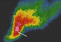 <p>Identify this radar Signature: </p>