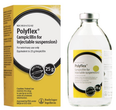 <p>Ampicillin</p>
<p>Note: Unlike amoxicillin, ampicillin comes in oral and injectable forms</p>