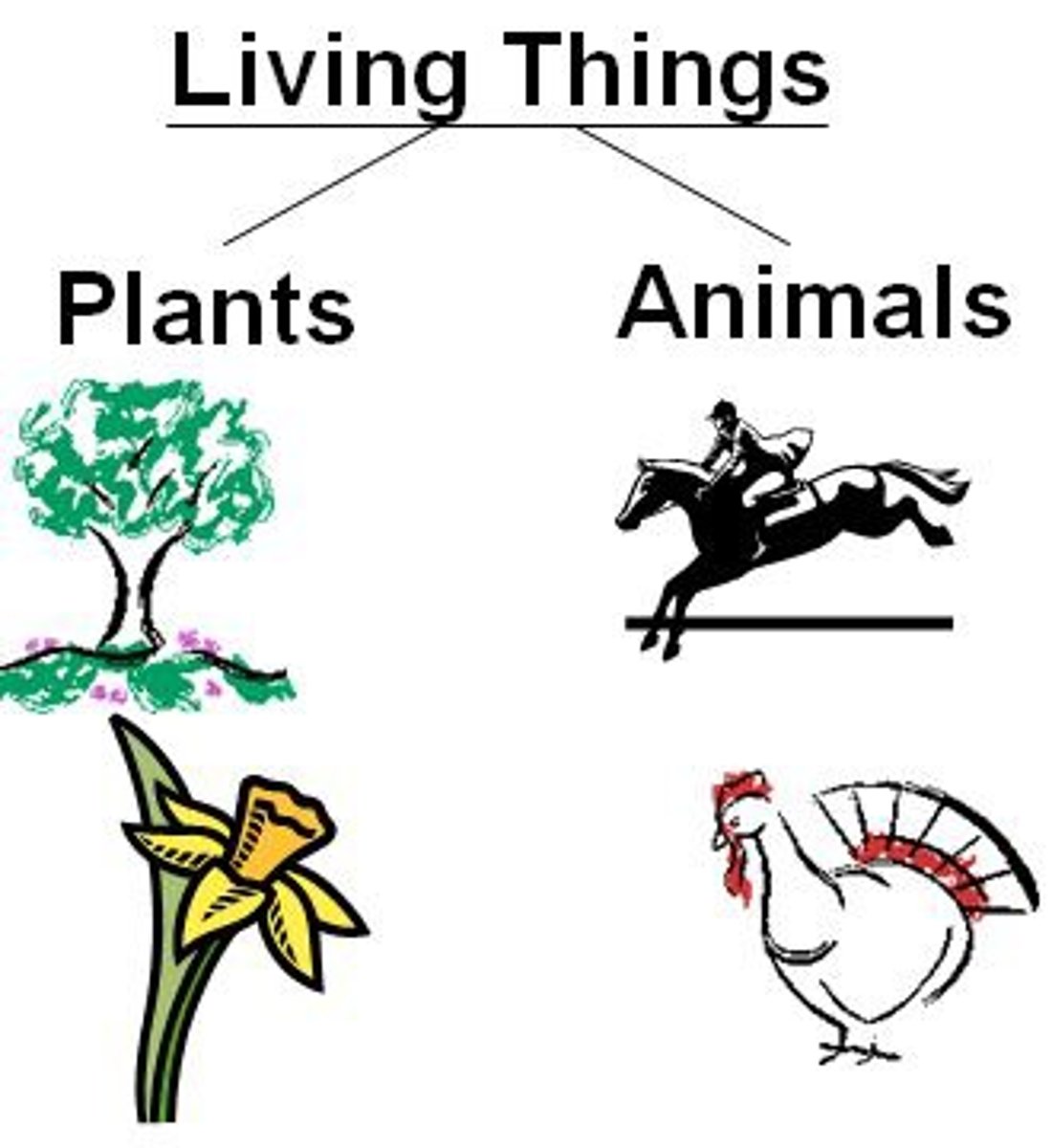 <p>v /ˈklæsɪfaɪ/ to decide what group (something) belongs to</p>