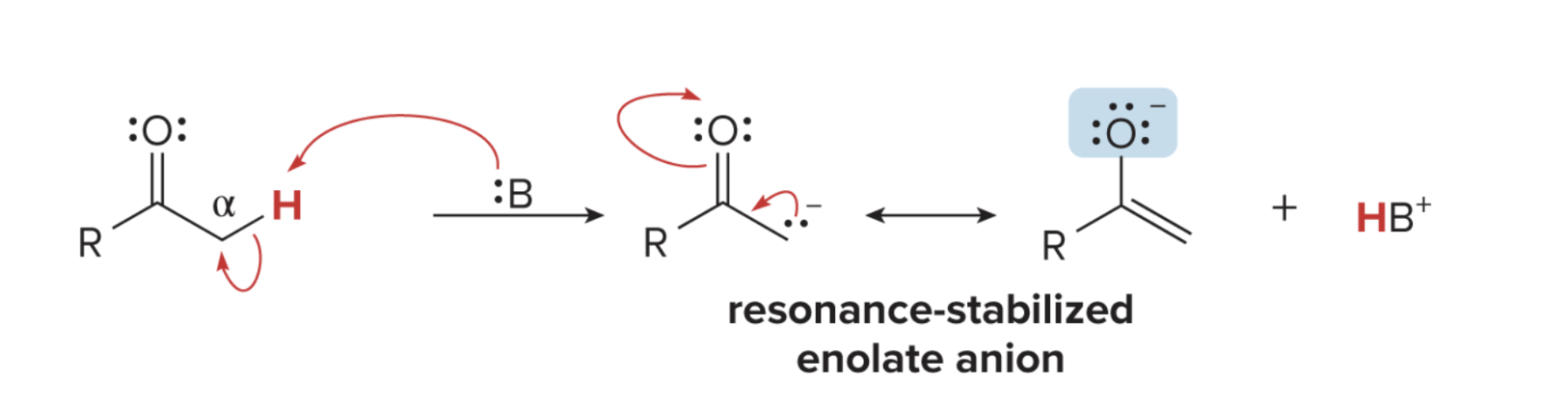 <ol><li><p>alpha proton gets deprotonated </p></li><li><p>base with a lone pair takes the proton + the electron forms double bond on the alpha carbon </p></li><li><p>carboxyl deprotonates and forms alkoxide</p></li><li><p>enolate is formed + HB^+</p></li></ol><p></p>