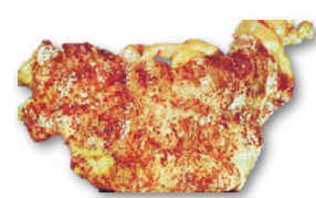 term image