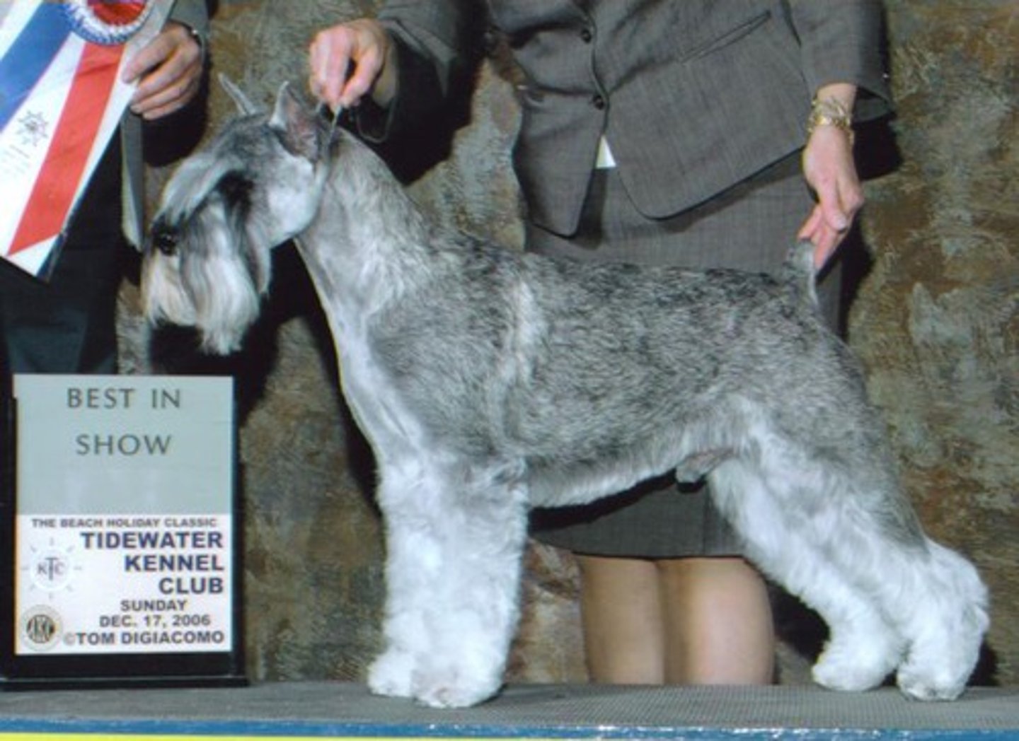 <p>Working Group</p>