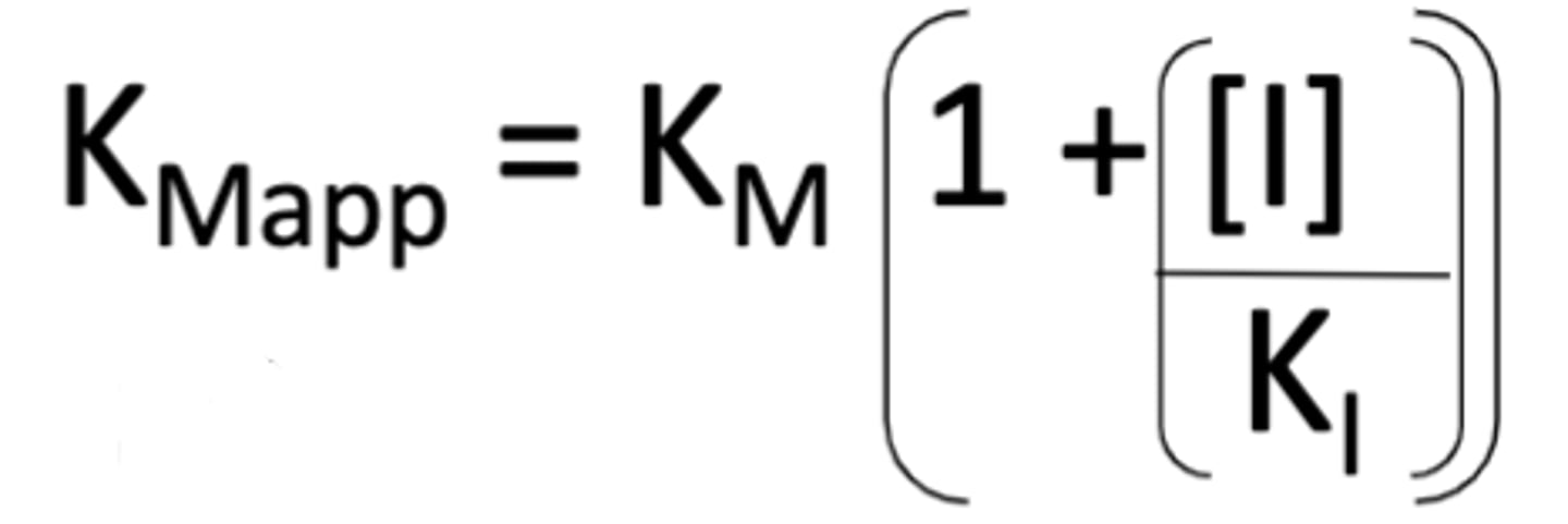<p>- With a competitive inhibitor, Km stays the same but seems to have changed when measured because more substrate is needed to reach Km/2 (known as KmApp)</p>