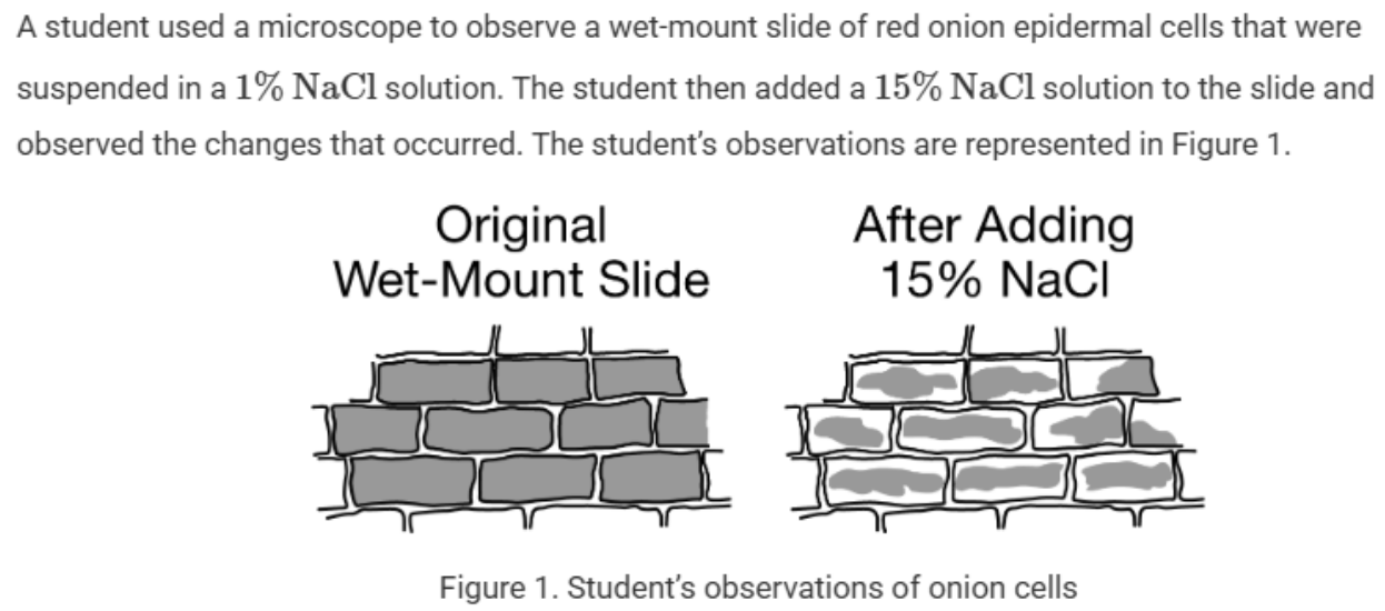 <p><span style="background-color: transparent;"><span>Know the response of water within cells in hypertonic, isotonic, and hypotonic solutions.&nbsp;</span></span></p>
