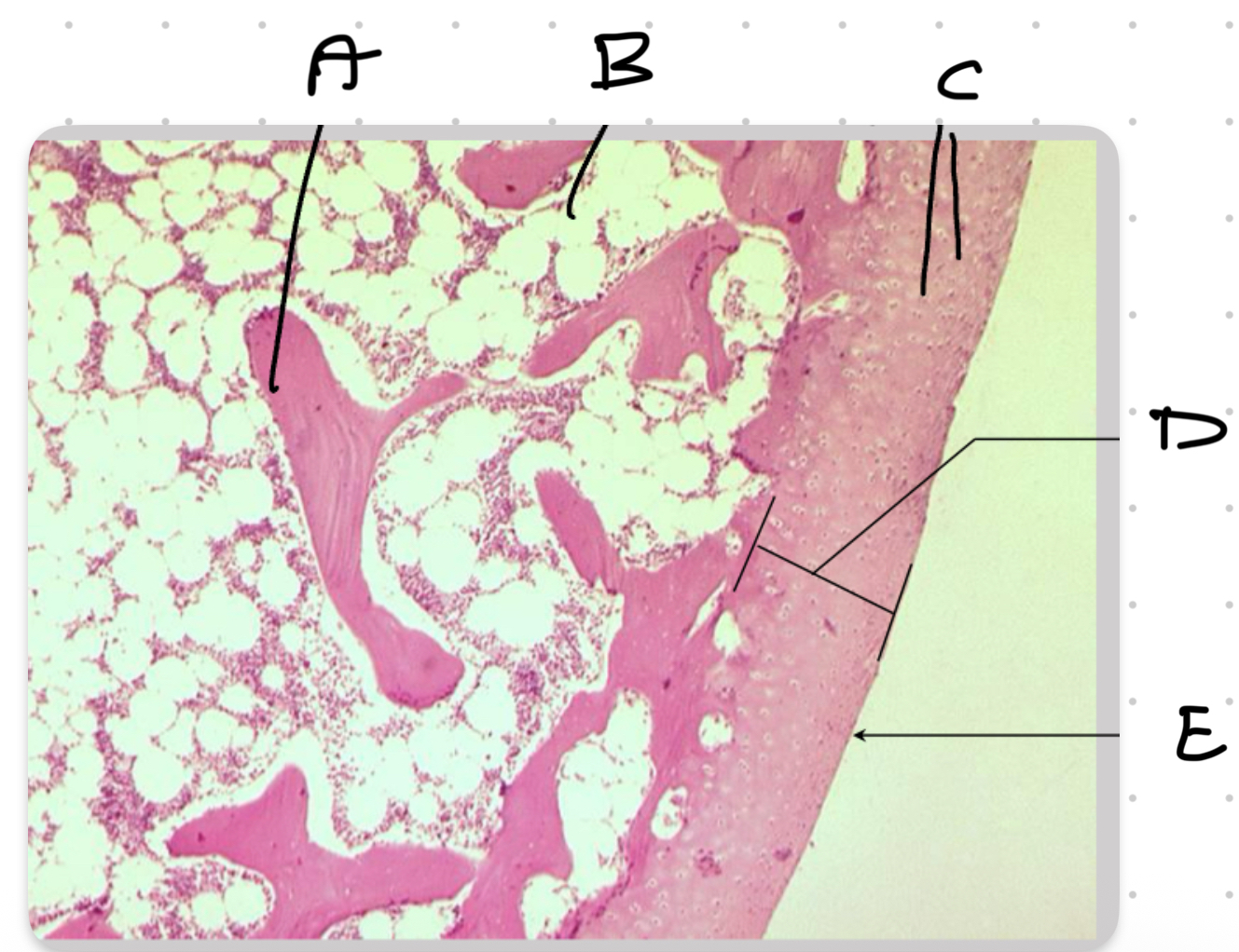<p>What is A?</p>