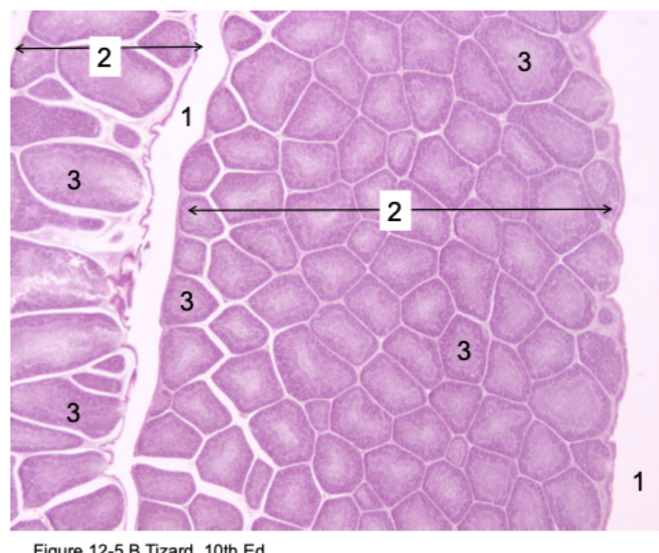<p>2</p>